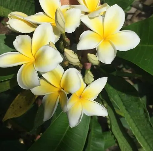 Hostal Marari Hanga Roa